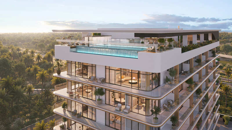 photo-of-Celeste Heights